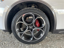 Thumbnail image of 2022 Alfa Romeo Stelvio at Stanley Automotive Enterprises Inc.