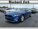 Thumbnail image of 2022 Ford Mustang at Blackwell Ford, Inc.