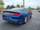 Thumbnail image of 2022 Ford Mustang at Blackwell Ford, Inc.