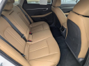 Thumbnail image of 2021 Hyundai SONATA Hybrid at Arrigo Chrysler Dodge Jeep Ram at Sawgrass