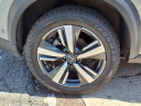 Thumbnail image of 2023 Nissan Rogue at Nissan 46