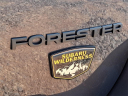 Thumbnail image of 2022 Subaru Forester at Honda of Bridgewater