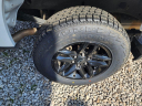 Thumbnail image of 2022 Chevrolet Silverado 1500 Limited at PARKWAY CARS AND TIRES INC