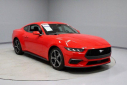 Thumbnail image of 2024 Ford Mustang at Ricart Used