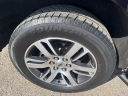 Thumbnail image of 2022 Ford Expedition MAX at Holiday Chevrolet Ford  NEW