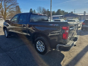 Thumbnail image of 2024 Chevrolet Silverado 1500 at Cook Chevrolet