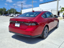 Thumbnail image of 2024 Honda Accord at Ed Morse Honda