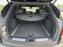 Thumbnail image of 2021 Cadillac XT5 at Wesley Chapel Nissan