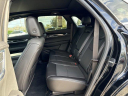 Thumbnail image of 2021 Cadillac XT5 at Wesley Chapel Nissan