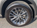 Thumbnail image of 2024 Lexus NX 350 at LenStolerLexusofTowson-Used of Towson, MD