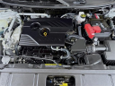 Thumbnail image of 2021 Nissan Rogue at Auto Expo 95