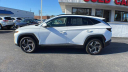 Thumbnail image of 2022 Hyundai TUCSON at Miller Auto Team Used