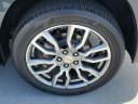 Thumbnail image of 2022 GMC Terrain at Williamson Cadillac - New