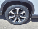 Thumbnail image of 2025 Honda Pilot at Team Gillman Honda North
