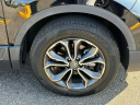 Thumbnail image of 2022 Honda CR-V at South Shore Subaru