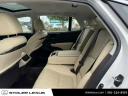 2019 Lexus LS 500 Base at Stoler Lexus