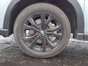 Thumbnail image of 2024 Subaru Forester at Kings Kia