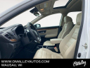 Thumbnail image of 2019 Honda CR-V at O'Malley Honda