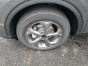 2025 Ford Escape Hybrid ST-Line Select at GillespieFord - New