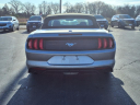 Thumbnail image of 2022 Ford Mustang at Gastorf Chevrolet