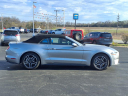 Thumbnail image of 2022 Ford Mustang at Gastorf Chevrolet