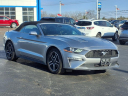 Thumbnail image of 2022 Ford Mustang at Gastorf Chevrolet