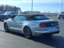 Thumbnail image of 2022 Ford Mustang at Gastorf Chevrolet