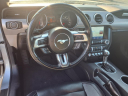 Thumbnail image of 2022 Ford Mustang at Gastorf Chevrolet