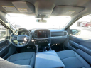 Thumbnail image of 2024 Ford F-150 at CampbellChryslerDodgeJeepRam - New