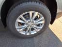 Thumbnail image of 2025 Cadillac XT5 at Lee Peterson