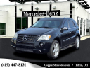Thumbnail image of 2010 Mercedes-Benz M-Class at Coppus Motors