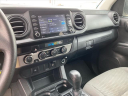 Thumbnail image of 2023 Toyota Tacoma at Oakes Auto Group
