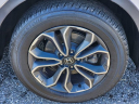 Thumbnail image of 2022 Honda CR-V at Honda Universe