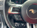 Thumbnail image of 2022 Ford Mustang at CrossRoads Ford Indian Trail - New and Used