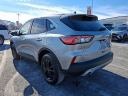 Thumbnail image of 2022 Ford Escape at D'Ambrosio Dodge