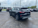Thumbnail image of 2024 Ford Escape Plug-In Hybrid at Lasco Ford