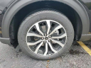 Thumbnail image of 2025 Ford Explorer at GillespieFord - New