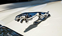 Thumbnail image of 2008 Jaguar XJ-Series at Droid Autos Company