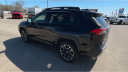 Thumbnail image of 2021 Toyota RAV4 at Bob Hurley Ponca Chrysler Jeep Dodge Ram