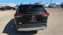 Thumbnail image of 2021 Toyota RAV4 at Bob Hurley Ponca Chrysler Jeep Dodge Ram