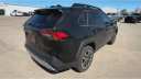 Thumbnail image of 2021 Toyota RAV4 at Bob Hurley Ponca Chrysler Jeep Dodge Ram