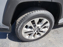 Thumbnail image of 2019 Toyota RAV4 at Oak Lawn Toyota NEW