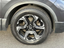 Thumbnail image of 2019 Honda CR-V at Mariano Rivera Honda