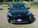 Thumbnail image of 2020 Ford Escape Hybrid at C&K Auto Imports Inc.