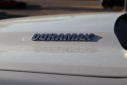 Thumbnail image of 2023 Chevrolet Silverado 1500 at Nissan of Wichita Falls