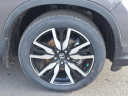 Thumbnail image of 2022 Honda Pilot at Hamilton Honda