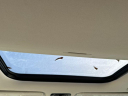 Thumbnail image of 2025 Hyundai SANTA FE at City World Hyundai