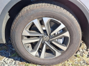 Thumbnail image of 2024 Volkswagen Tiguan at Honda of Bridgewater