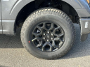 2025 Ford F-150 STX at Northgate Ford Lincoln