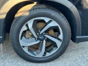 Thumbnail image of 2022 Subaru Forester at Gregoris Subaru
